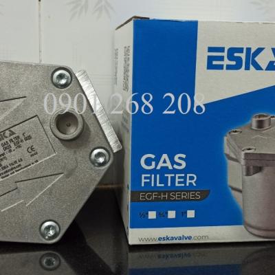 GAS FILTER DN25